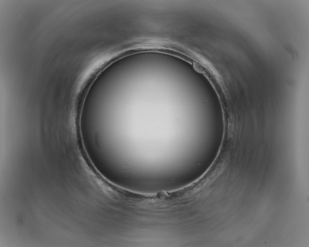X0000111841464200907231358