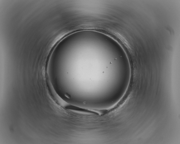 X0000111841465200907231358