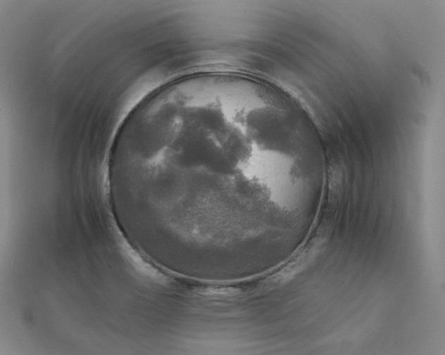 X0000111841466200907231358