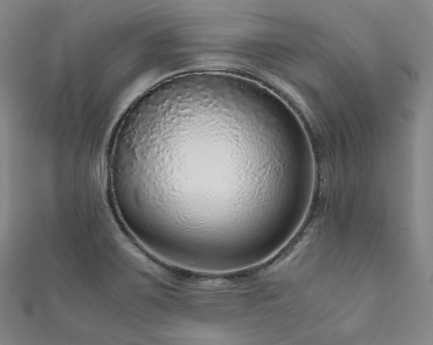 X0000111841467200907231358