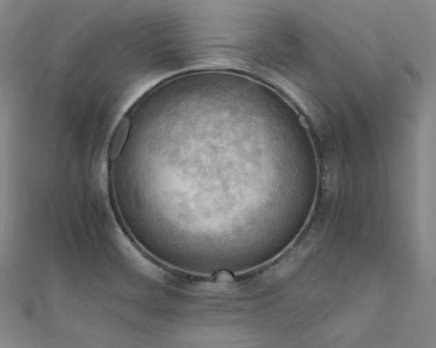 X0000111841468200907231357