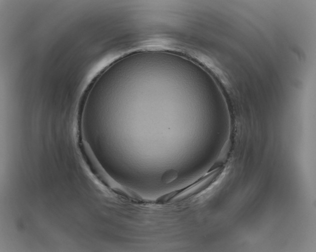X0000111841469200907231357