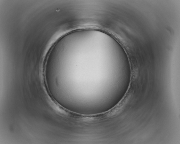 X0000111841470200907231357