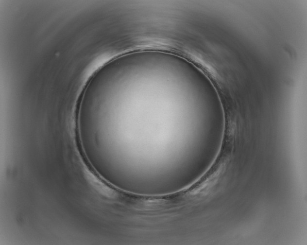 X0000111841471200907231357