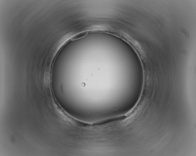 X0000111841473200907231357