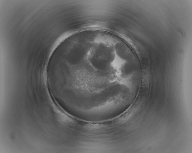 X0000111841474200907231357