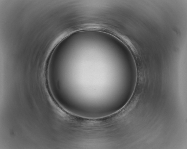 X0000111841475200907231357