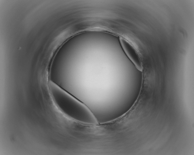 X0000111841476200907231357