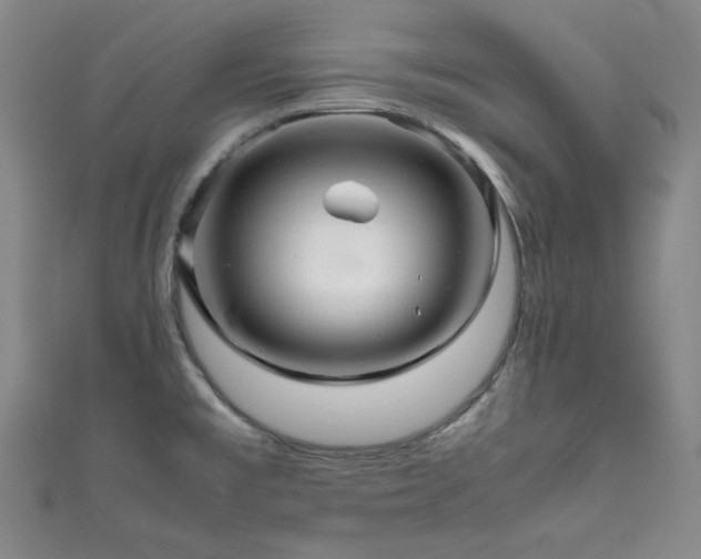 X0000111841477200907231357
