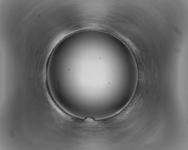 X0000111841479200907231357