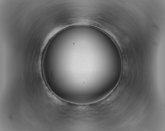 X0000111841480200907231357