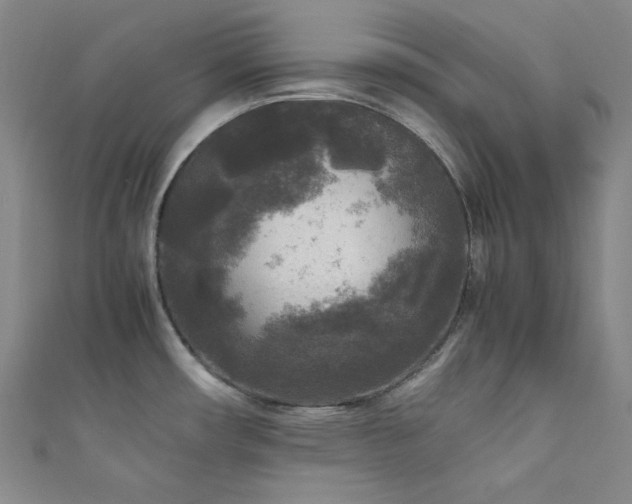 X0000111841482200907231357