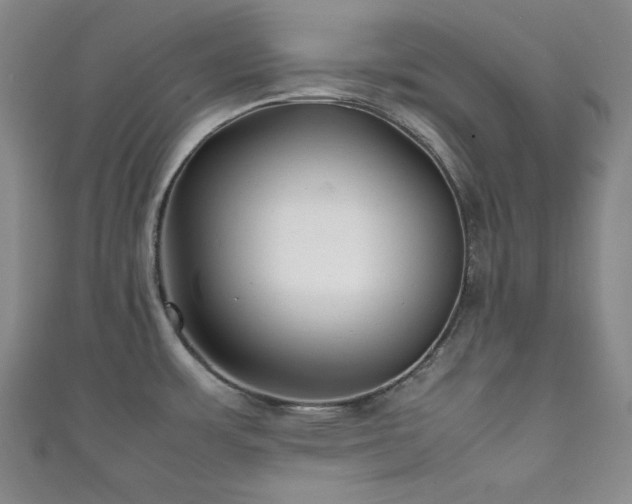 X0000111841483200907231357