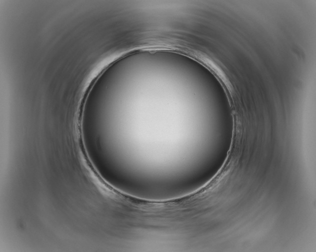 X0000111841485200907231357