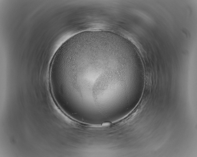 X0000111841487200907231357