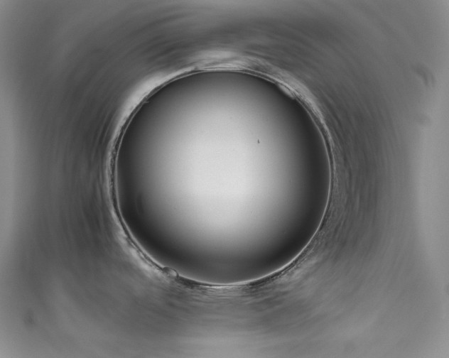 X0000111841488200907231357