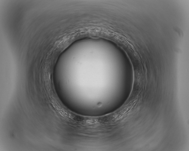 X0000111841489200907231356