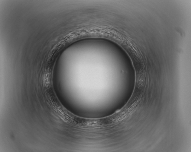 X0000111841490200907231356