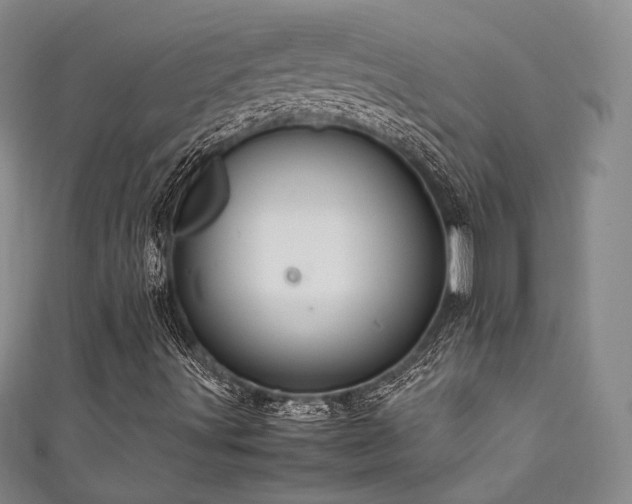 X0000111841491200907231356