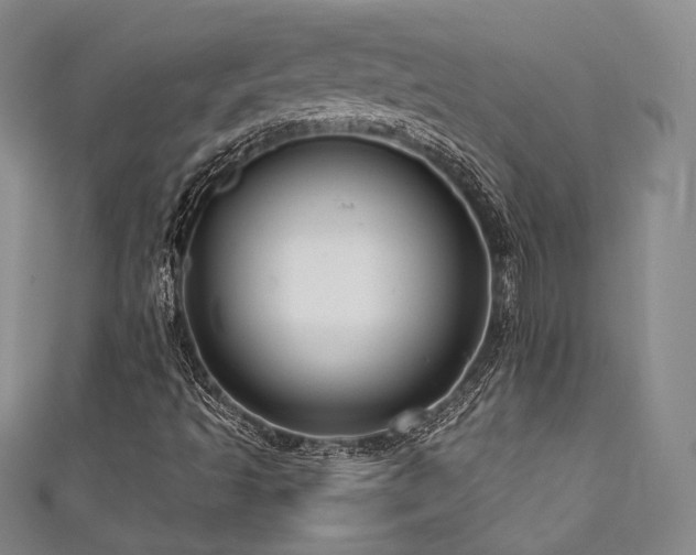 X0000111841493200907231356