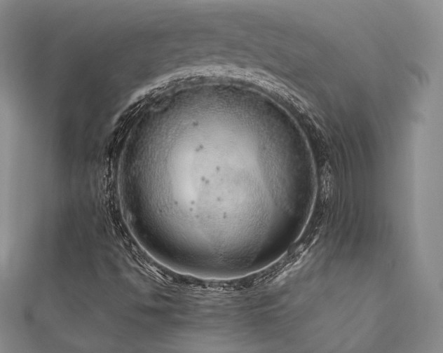 X0000111841494200907231357