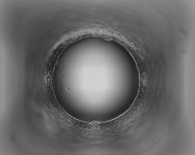X0000111841495200907231357