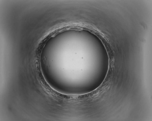 X0000111841496200907231357