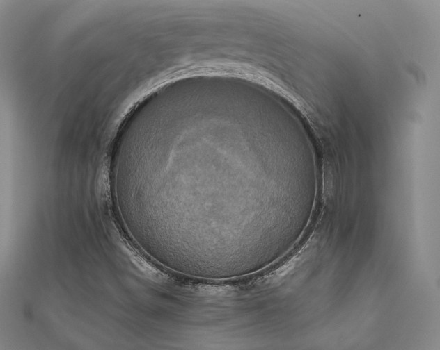 X0000111841498200907231357