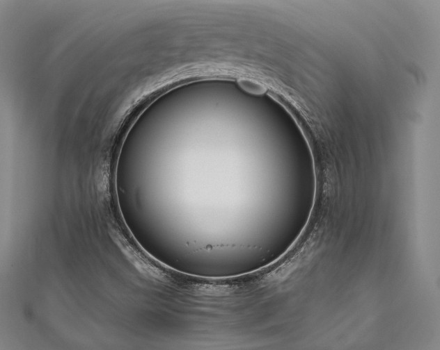 X0000111841499200907231357