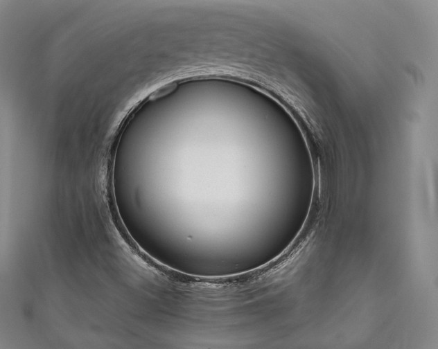 X0000111841500200907231357