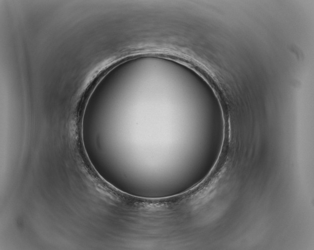 X0000111841501200907231357