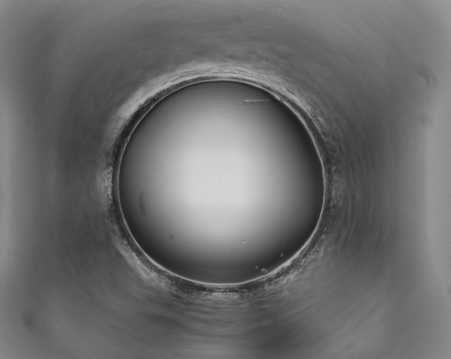 X0000111841503200907231357