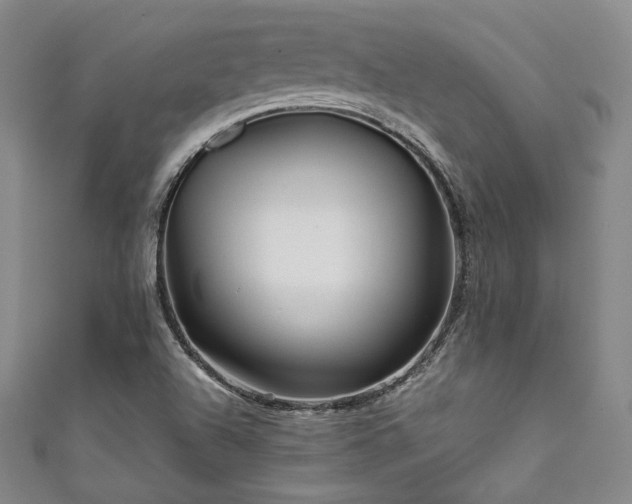 X0000111841504200907231357