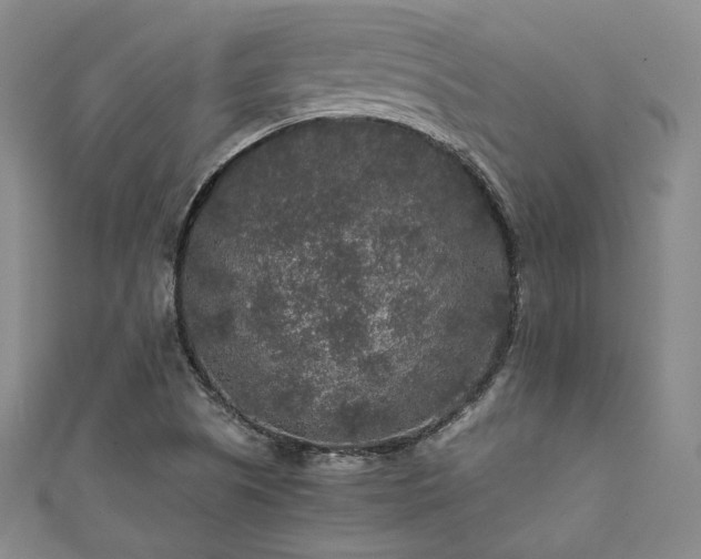 X0000111841505200907231357