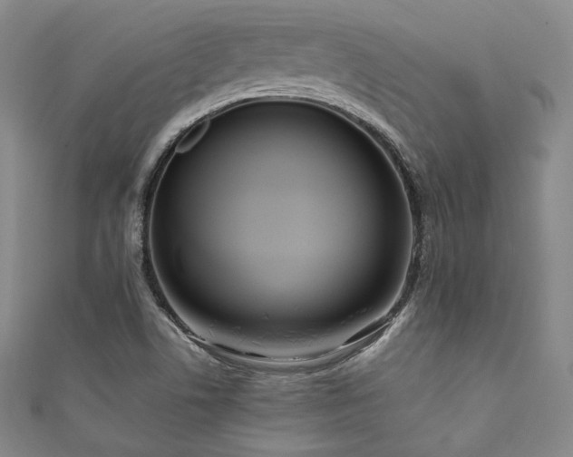 X0000111841506200907231357