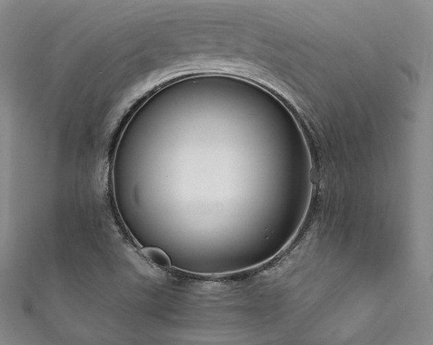 X0000111841507200907231357