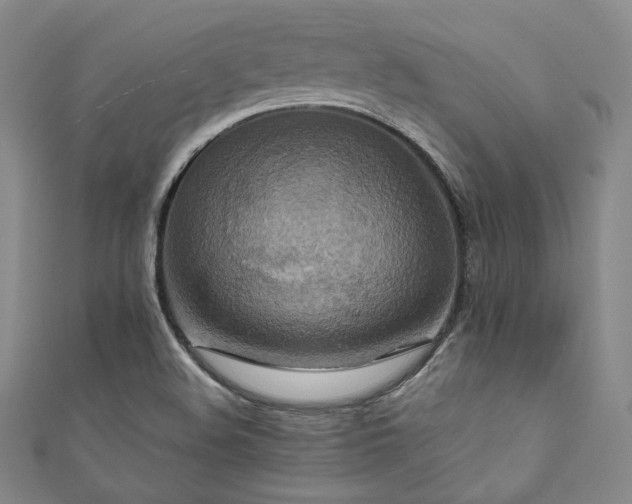 X0000111841508200907231357