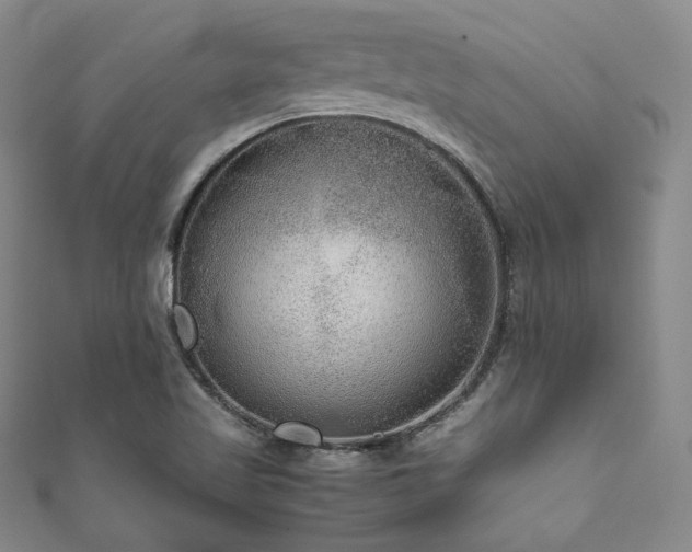 X0000111841509200907231357