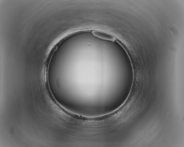 X0000111841510200907231357