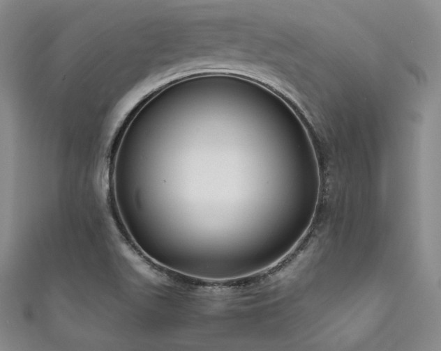 X0000111841511200907231357