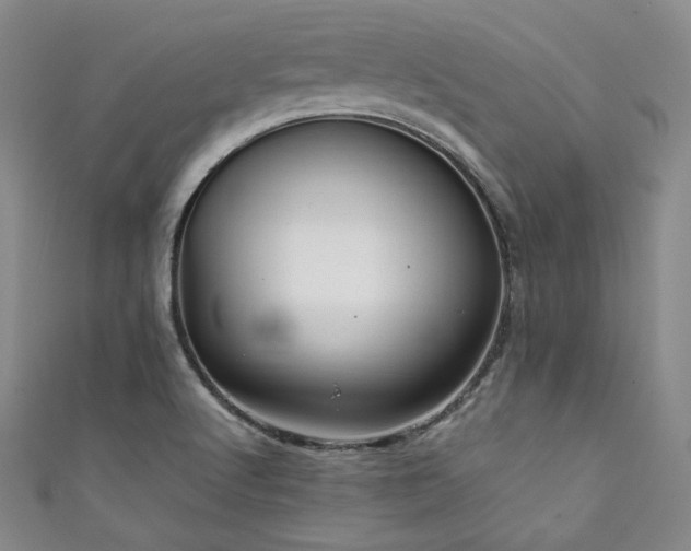 X0000111841512200907231357