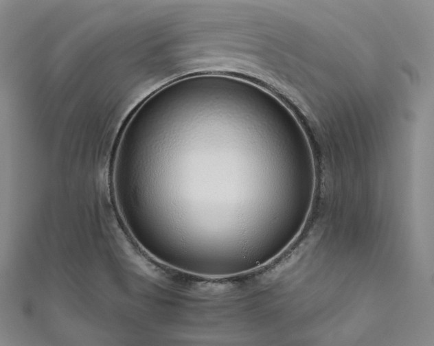 X0000111841513200907231357