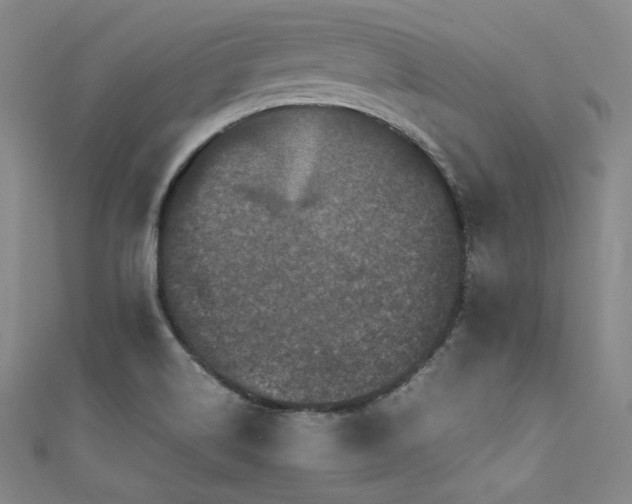 X0000111841514200907231357