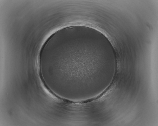 X0000111841515200907231357