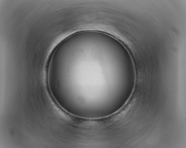 X0000111841517200907231357
