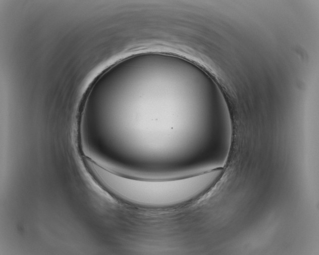 X0000111841518200907231357