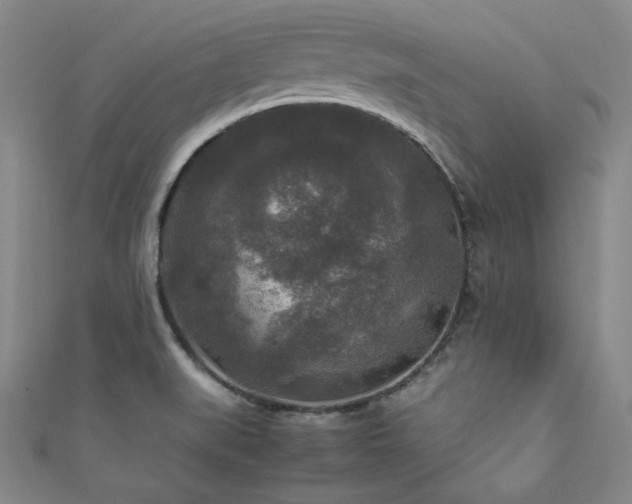 X0000111841519200907231357