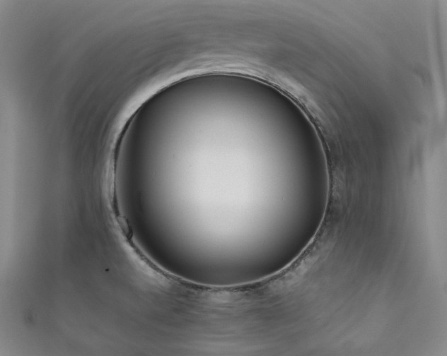 X0000111841520200907231357