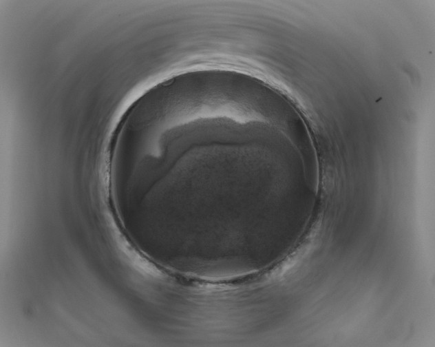 X0000111841522200907231357