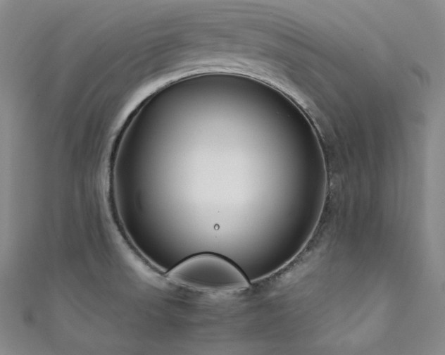 X0000111841523200907231357